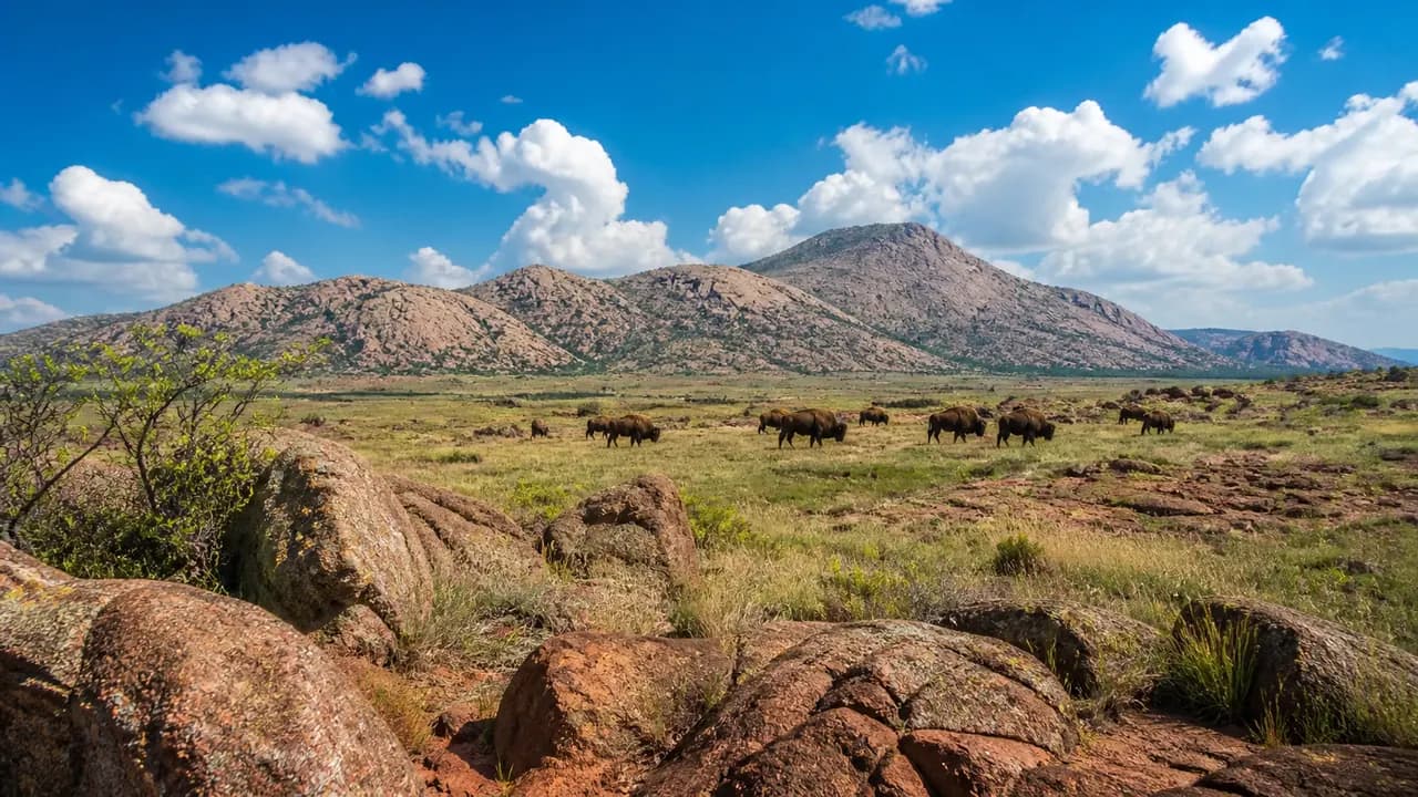 Great Plains Country granite mountains, bison and red Oklahoma earth under a wide sky